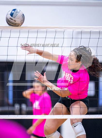 Thumbnail 2 in Wylie @ South Garland photogallery.