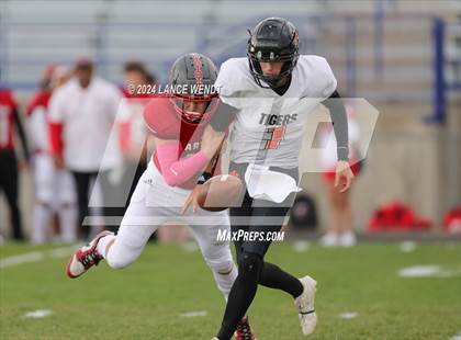 Thumbnail 1 in Sterling @ Arvada photogallery.