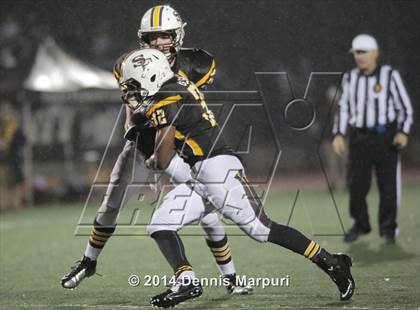 Thumbnail 1 in Saint Francis vs. Archbishop Mitty (CIF CCS D2 Final) photogallery.