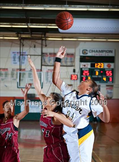 Thumbnail 1 in Carter vs. Patriot (Lady Bears Holiday Classic) photogallery.
