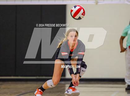 Thumbnail 2 in Anna vs. Tom Bean (Hwy 75 Volleyfest) photogallery.