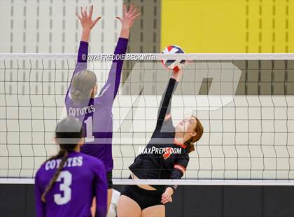 Thumbnail 2 in Anna vs. Tom Bean (Hwy 75 Volleyfest) photogallery.