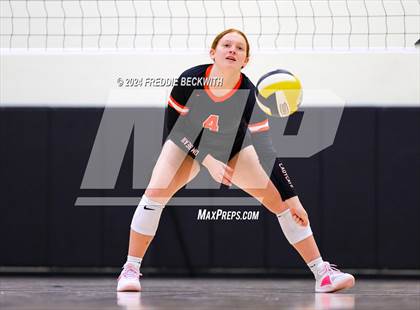 Thumbnail 2 in Anna vs. Tom Bean (Hwy 75 Volleyfest) photogallery.
