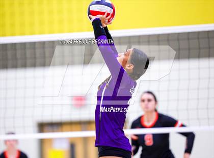 Thumbnail 2 in Anna vs. Tom Bean (Hwy 75 Volleyfest) photogallery.