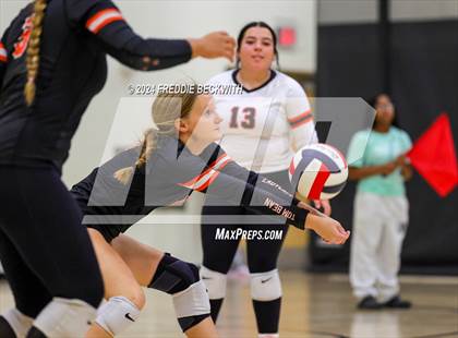 Thumbnail 2 in Anna vs. Tom Bean (Hwy 75 Volleyfest) photogallery.