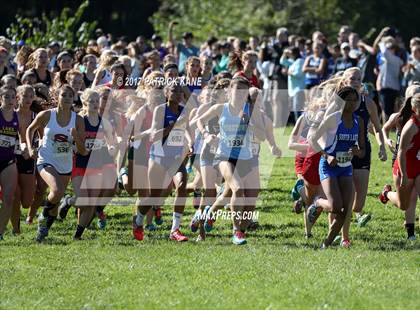 Thumbnail 3 in Monroe Parker Invitational photogallery.