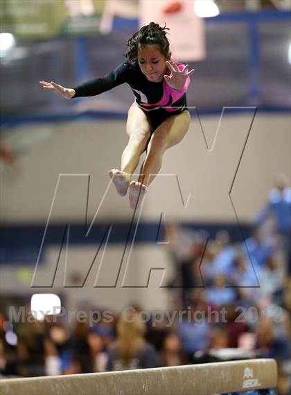 Thumbnail 1 in CHSAA 5A State Gymnastics Championships photogallery.