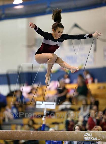Thumbnail 2 in CHSAA 5A State Gymnastics Championships photogallery.