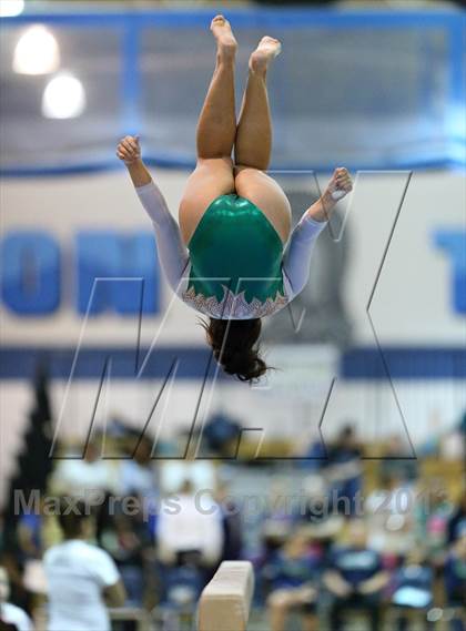 Thumbnail 3 in CHSAA 5A State Gymnastics Championships photogallery.