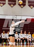 Photo from the gallery "Westfield @ Oakton"