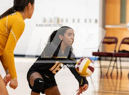Thumbnail 3 in Westfield @ Oakton photogallery.