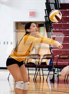 Photo from the gallery "Westfield @ Oakton"