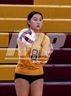 Photo from the gallery "Westfield @ Oakton"