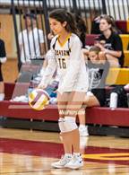 Photo from the gallery "Westfield @ Oakton"