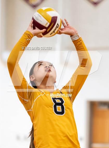 Thumbnail 2 in Westfield @ Oakton photogallery.