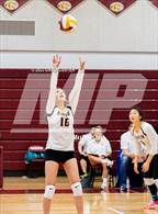 Photo from the gallery "Westfield @ Oakton"