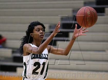 Thumbnail 3 in Westlake @ Pflugerville Connally photogallery.