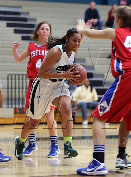 Thumbnail 1 in Westlake @ Pflugerville Connally photogallery.
