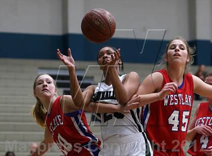 Thumbnail 1 in Westlake @ Pflugerville Connally photogallery.