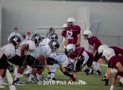 Thumbnail 1 in Sotomayor vs Glendale  photogallery.