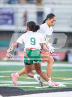 Photo from the gallery "Mt. Diablo @ Concord"