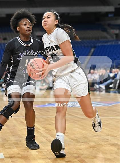 Thumbnail 1 in Cedar Park vs College Station (UIL 5A State Semifinal) photogallery.