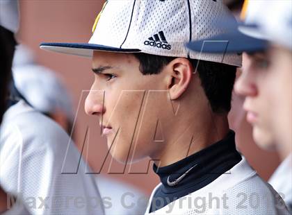Thumbnail 3 in Seymour @ South-Doyle photogallery.