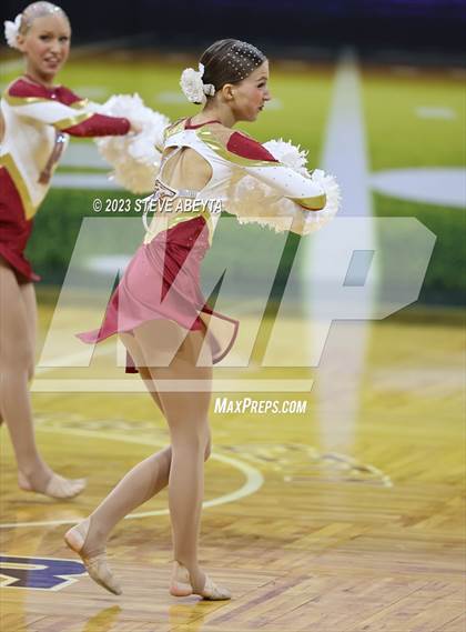 Thumbnail 1 in Ponderosa CHSAA Spirit Poms photogallery.