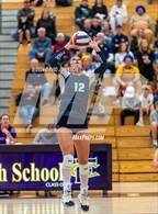 Photo from the gallery "Timnath @ Fort Collins"