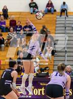 Photo from the gallery "Timnath @ Fort Collins"