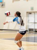 Photo from the gallery "Timnath @ Fort Collins"