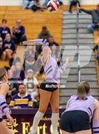 Photo from the gallery "Timnath @ Fort Collins"