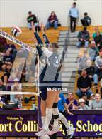 Photo from the gallery "Timnath @ Fort Collins"