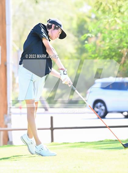 Thumbnail 3 in 2023-24 AIA D-I Boys State Golf Championship photogallery.