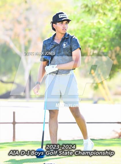 Thumbnail 1 in 2023-24 AIA D-I Boys State Golf Championship photogallery.