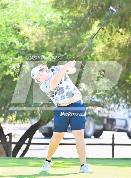 Thumbnail 3 in 2023-24 AIA D-I Boys State Golf Championship photogallery.