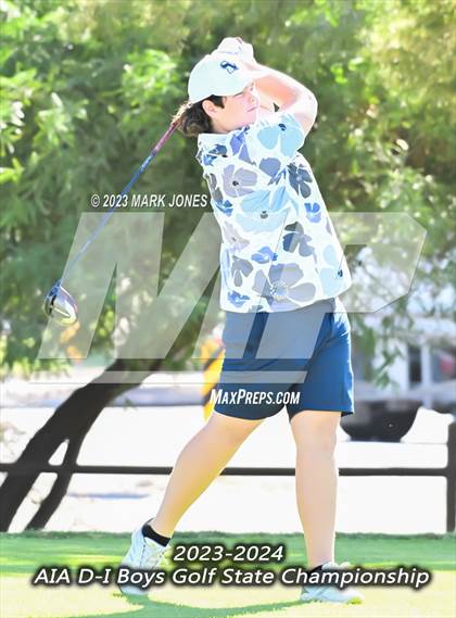 Thumbnail 3 in 2023-24 AIA D-I Boys State Golf Championship photogallery.