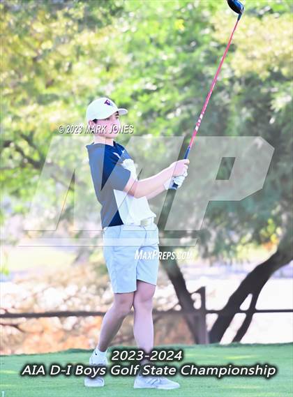 Thumbnail 3 in 2023-24 AIA D-I Boys State Golf Championship photogallery.
