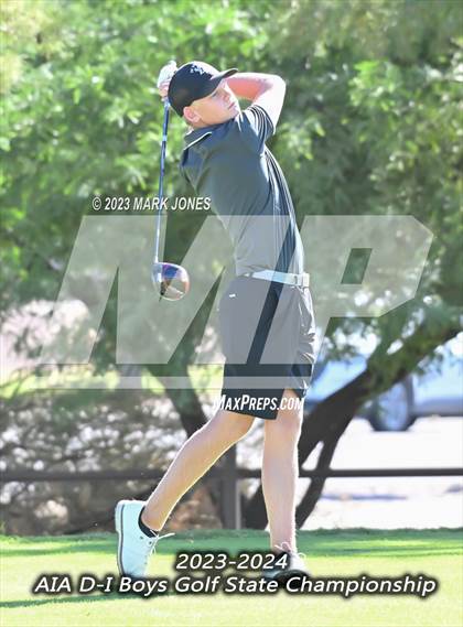 Thumbnail 2 in 2023-24 AIA D-I Boys State Golf Championship photogallery.