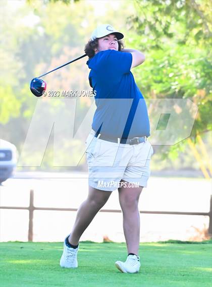 Thumbnail 2 in 2023-24 AIA D-I Boys State Golf Championship photogallery.
