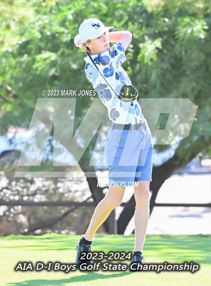 Thumbnail 1 in 2023-24 AIA D-I Boys State Golf Championship photogallery.