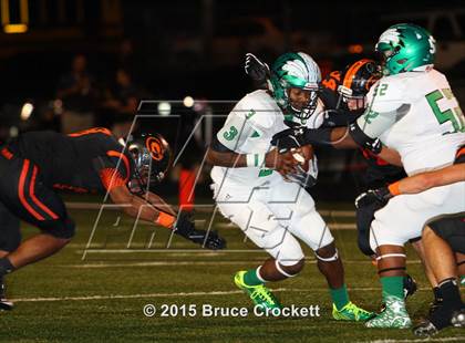 Thumbnail 2 in Tatum @ Gilmer photogallery.