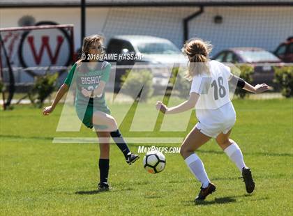 Thumbnail 1 in Bishop England @ Waccamaw photogallery.