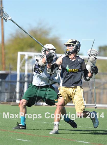 Thumbnail 2 in Horizon @ Sabino photogallery.