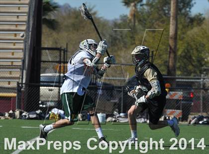 Thumbnail 2 in Horizon @ Sabino photogallery.