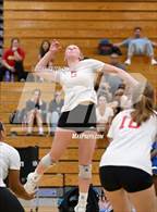 Photo from the gallery "Cathedral Catholic vs. Murrieta Valley (Dave Mohs Tournament)"