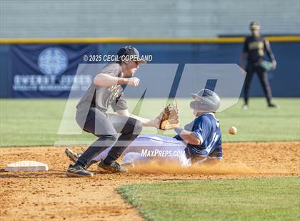 Thumbnail 1 in Sprayberry @ Pope photogallery.