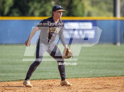 Thumbnail 3 in Sprayberry @ Pope photogallery.