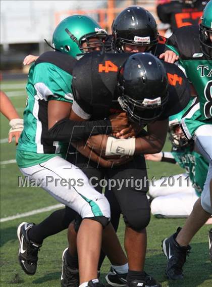 Thumbnail 3 in Tatum @ Gilmer photogallery.