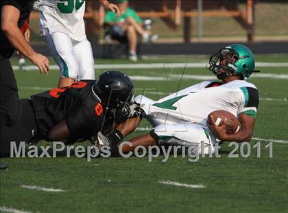 Thumbnail 2 in Tatum @ Gilmer photogallery.